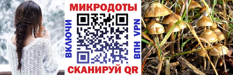 Псилоцибиновые грибы прущие грибы  Костомукша 